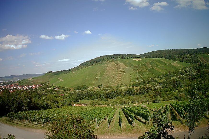 Die Landschaftsaufnahme der Maginon QC 90 Drohne ist etwas pixelig